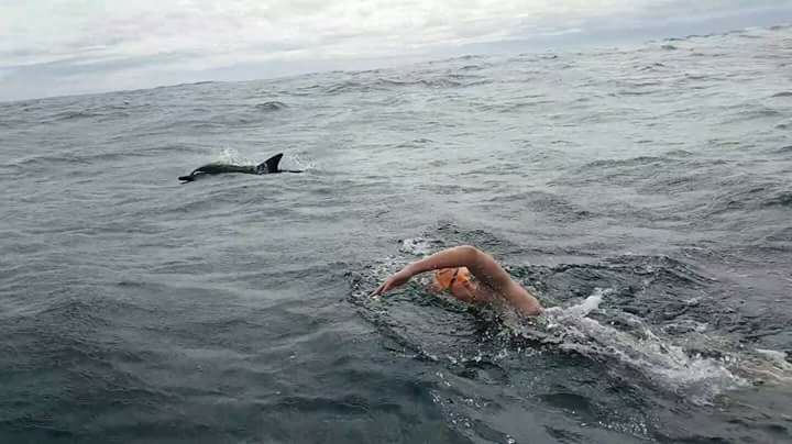 Chloe Dolphin Cook